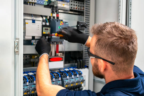 Best Electrical System Inspection  in Holt, MI