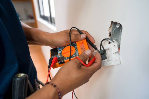 Best Affordable Electrician  in Holt, MI