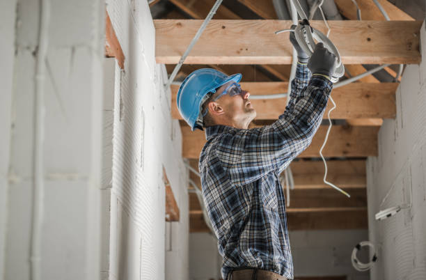 Best Affordable Electrician  in Holt, MI