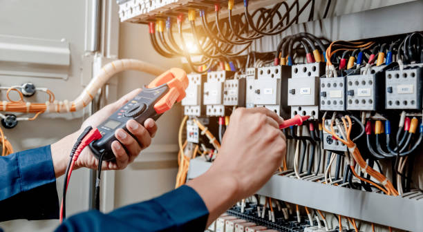 Best 24-Hour Electrician  in Holt, MI