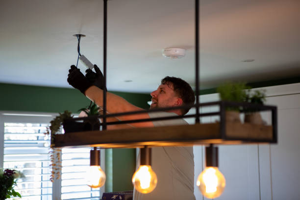 Best Ceiling Fan Installation Electrician  in Holt, MI