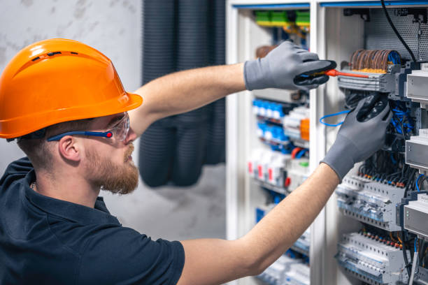 Best Residential Electrician Services  in Holt, MI